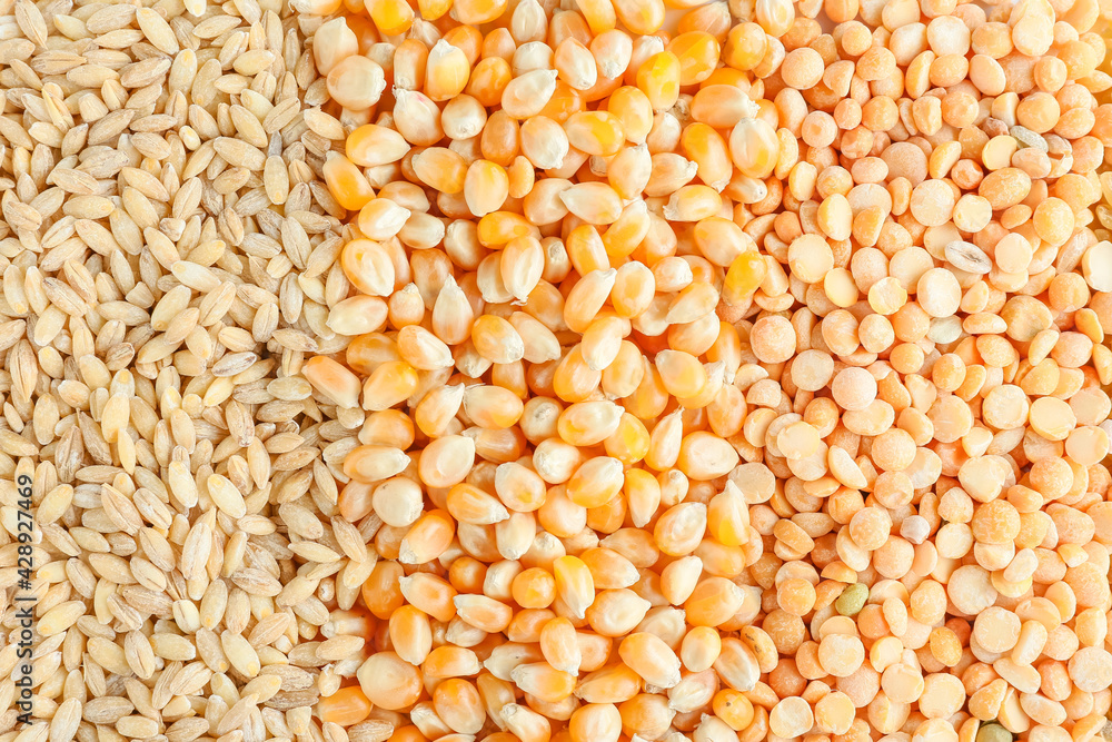 Heap of different cereals and legumes as background Heap of different cereals and legumes as background