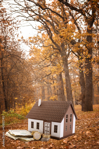 Model of house with money in autumn forest