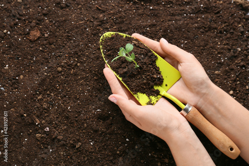 Farmer holding gardening sh...