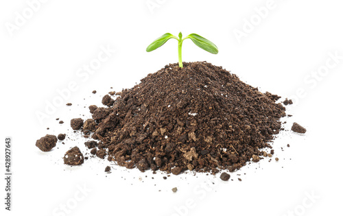 Green seedling with heap of...