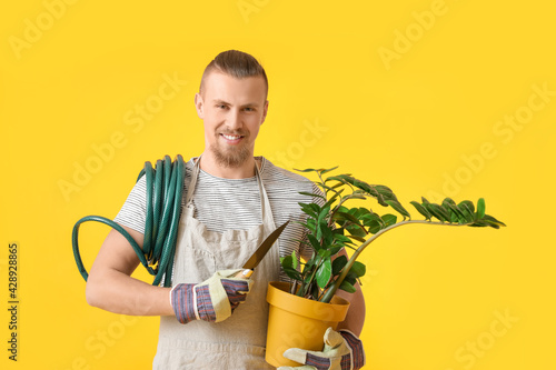 Slika na platnu Young male gardener on color background