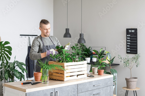 Young man taking care of pl...