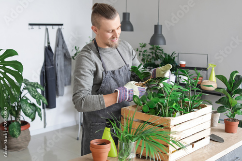 Young man taking care of pl...