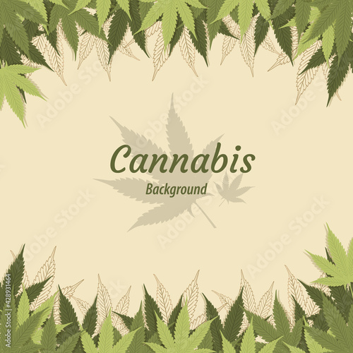 cannabis leaf pattern background vector illustration 04