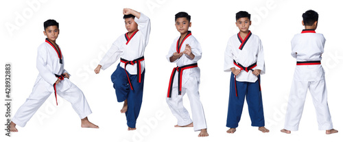 TaeKwonDo Karate Kid athlete young teenager show traditional Fighting