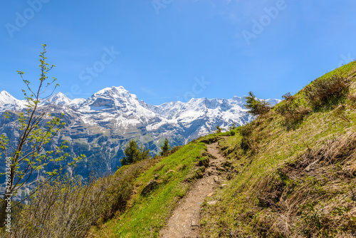 The Swiss Alps at Murren, Switzerland. Jungfrau Region. The valley of Lauterbrunnen from Interlaken.