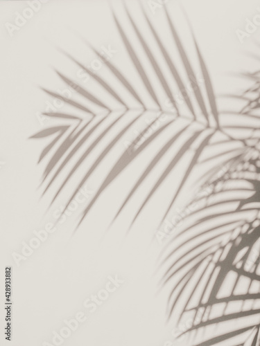 Abstract neutral nature background with sunlight and shadow of tropical palm leaves. Creative minimal summer travel concept with gray shadow palm tree leaf. Blurred background. Flat lay. Mock up