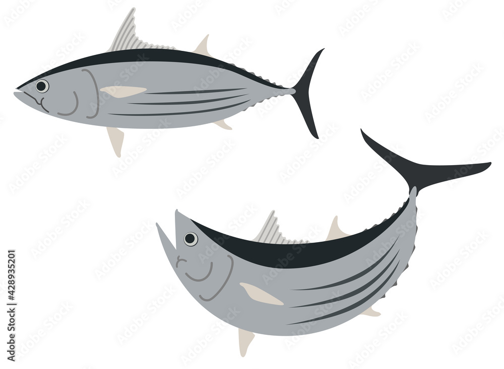 魚の装飾素材「鰹(かつお)」 魚の装飾素材「鰹(かつお)」