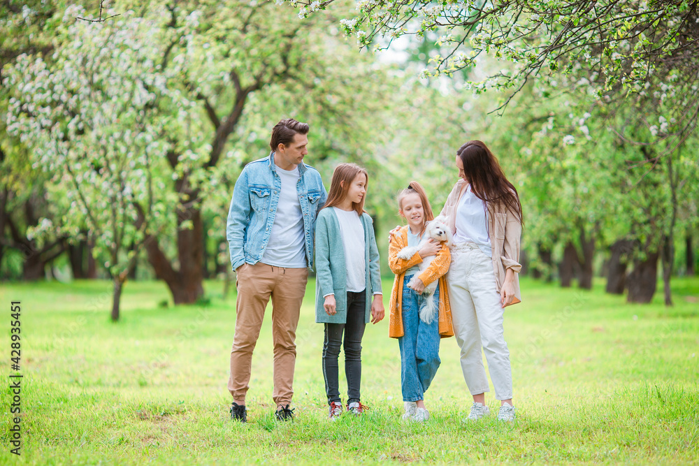 Adorable family in blooming cherry garden on beautiful spring day Adorable family in blooming cherry garden on beautiful spring day