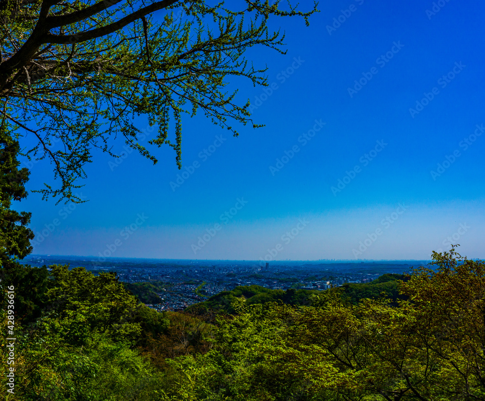 Obraz premium 高尾山 金毘羅台からの風景 春