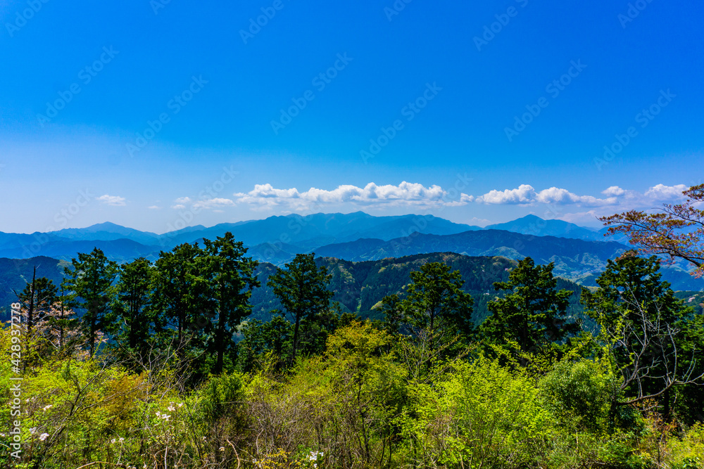 丹沢の山々を眺める　高尾山の展望台からの景色　