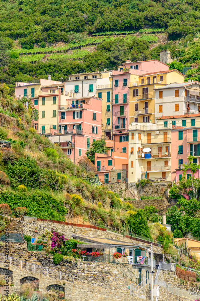 Beautiful town Manarola in Cinque Terre, Italy.