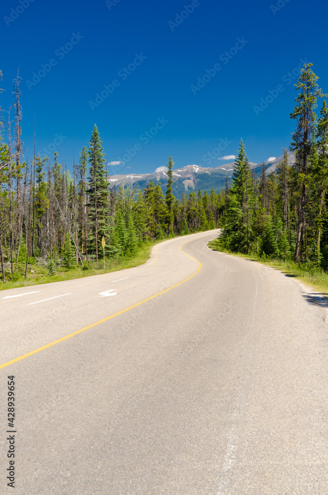 Naklejka premium Mountain road in Rocky Mountains, Alberta, Canada.