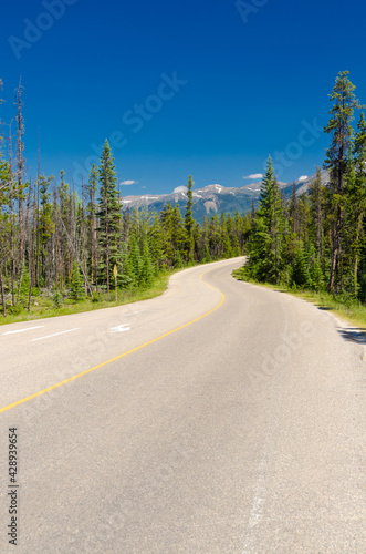 Mountain road in Rocky Mountains, Alberta, Canada.