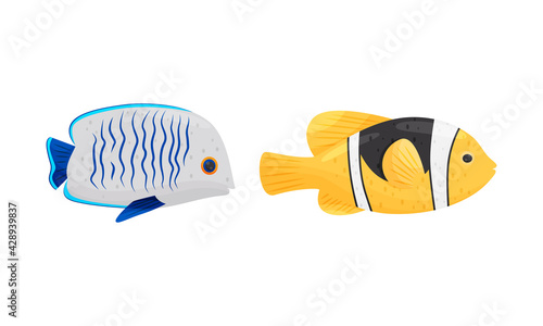 Exotic Tropical Fish of Different Shapes and Colors Vector Set