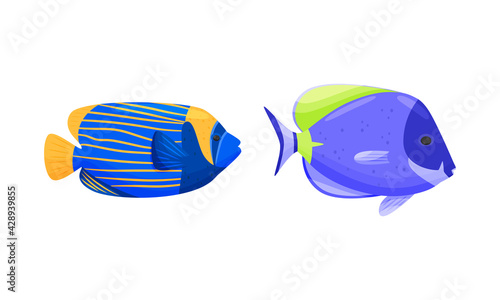 Exotic Tropical Fish of Different Shapes and Colors Vector Set