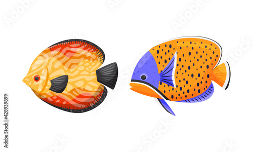 Tropical Fish of Different Shapes and Colors Vector Set