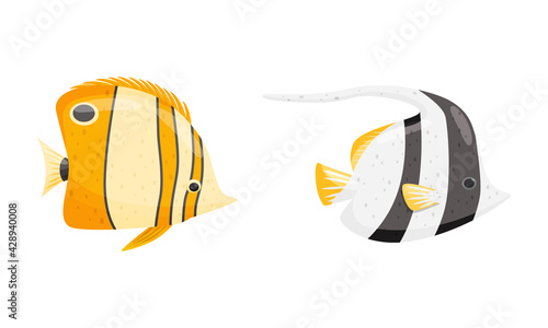Tropical Fish of Different Shapes and Colors Vector Set