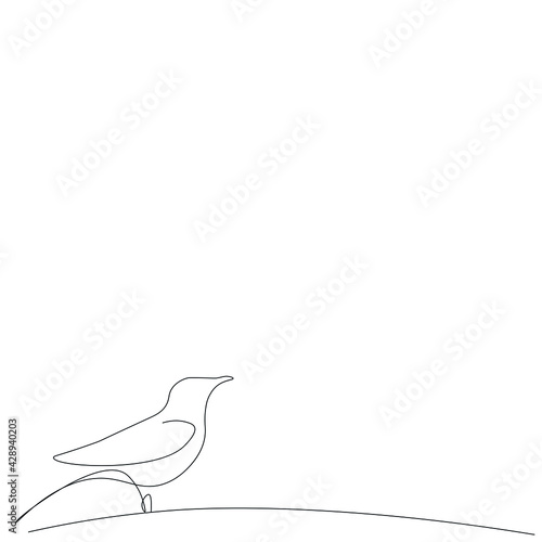Bird silhouette line drawing vector illustration