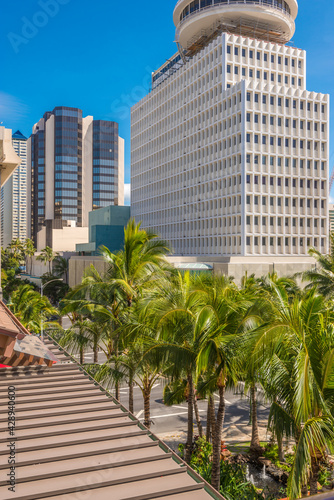 Palm trees and building tops in Honolulu, Hawaii, USA. Tropical city vacation background. © karamysh