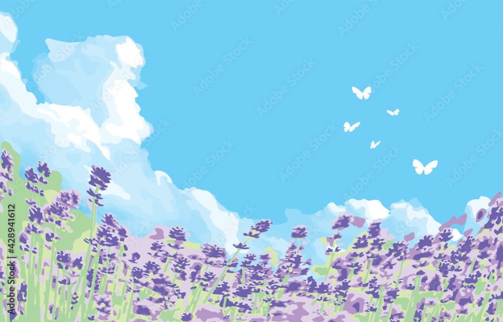 夏の北海道 ラベンダー畑背景 Stock Vector Adobe Stock