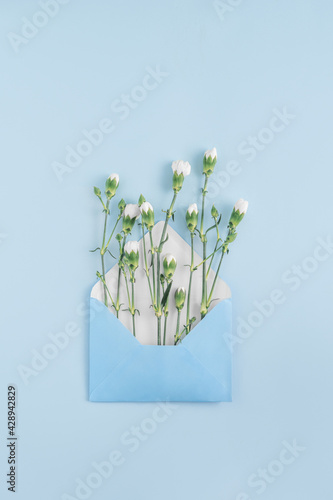 Minimal newsletter email concept made of blue envelope with white summer flowers on bright background. Send message creative idea. Blue aesthetic with copy space.