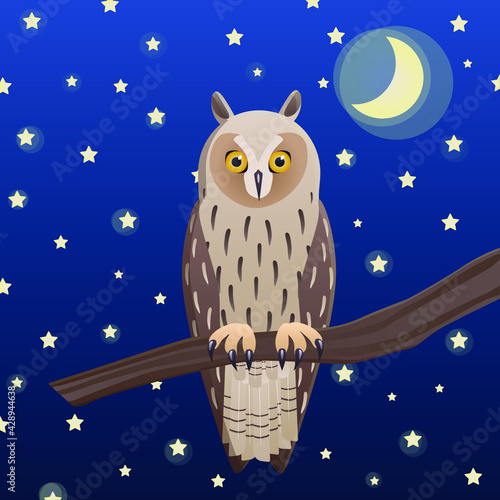 A big-eared owl on a tree branch. against the night sky.