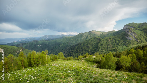 landscape with green flowering meadows, coniferous forest and mountain peaks, cloudy sky with clouds in the background