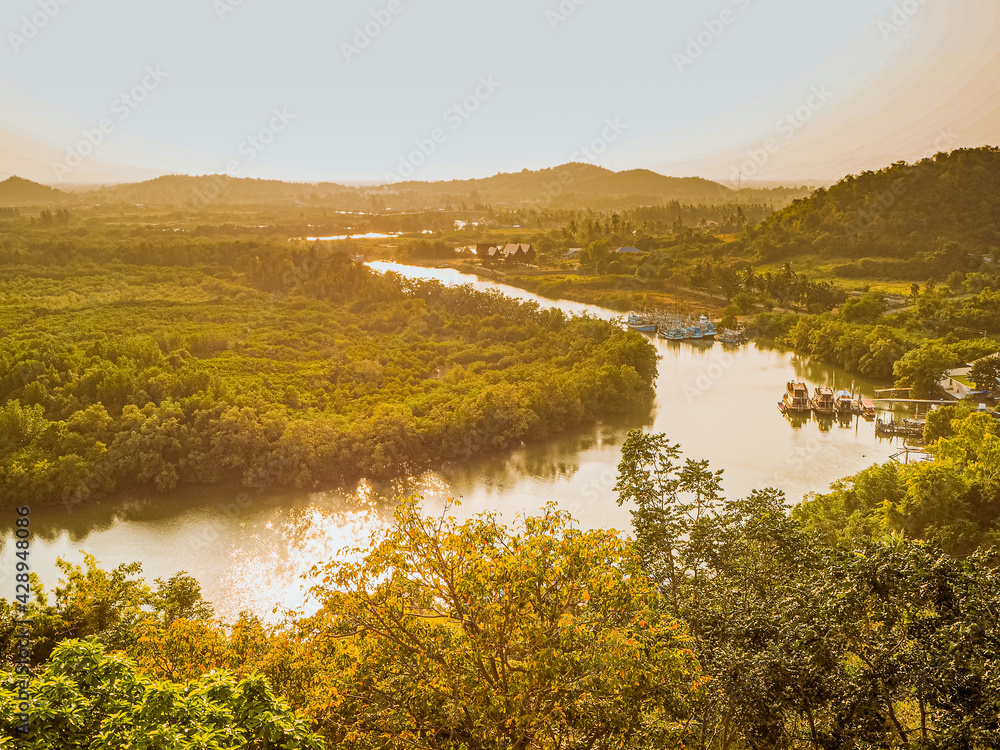 Obraz premium Aerial top view forest, Texture of mangrove forest view from above nature mountain background