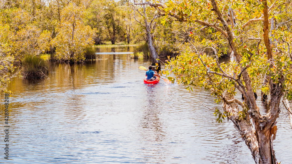 Kayaks couple on the river. Back view