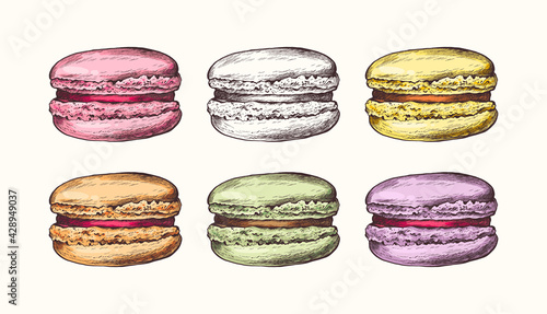 Vector collection of hand drawn colorful cake macaroons. French pastry macaron. Highly detailed collection dessert, macaroon, sweets, menu design, restaurants, shop
