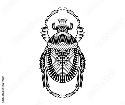 Vector beetle of hand drawn
