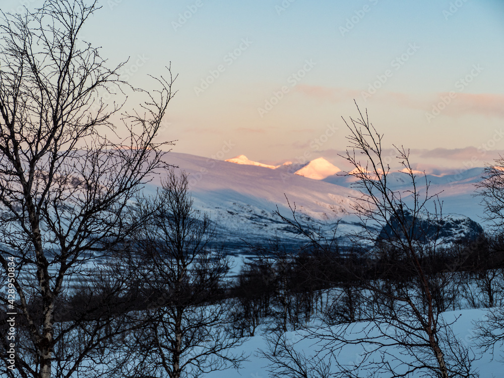 snowy winter landscape of Sarek national park in swedish lappland