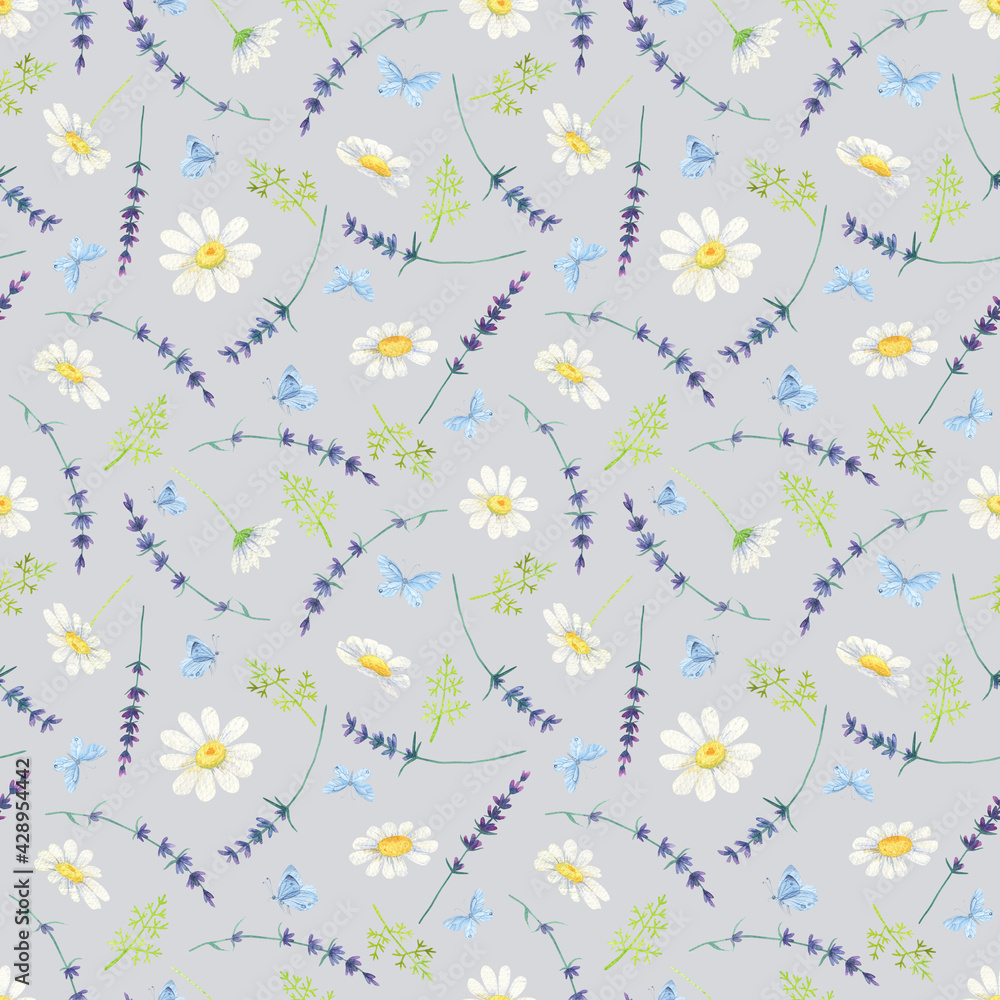 White daisy seamless pattern. Watercolor Butterfly lavender background