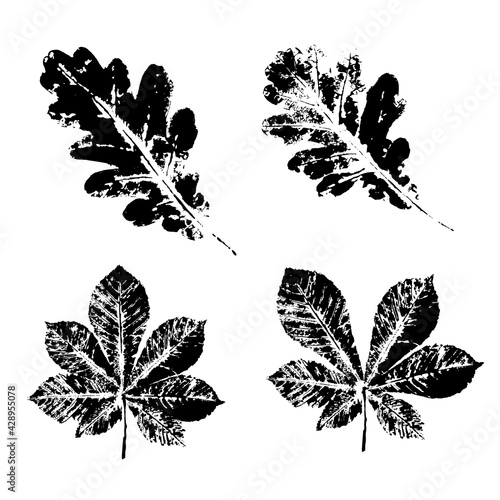 Ink print leaves. Black ink prints of leaves of trees and bushes