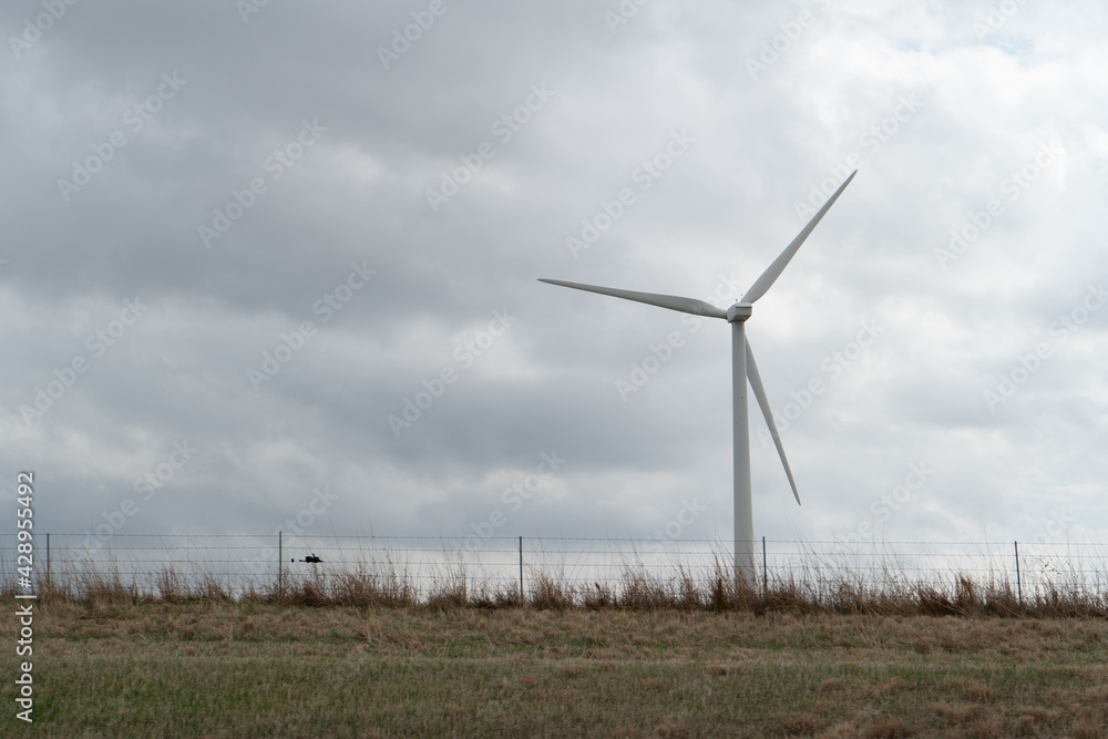 Wind Mill Renewable Energy in Texas