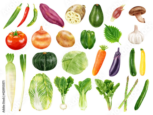 水彩イラスト　野菜セット