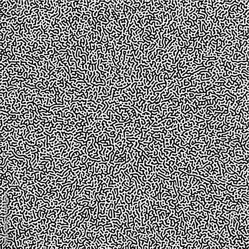 Cyclic Symmetric Multiscale Turing Pattern. Monochrome texture photo