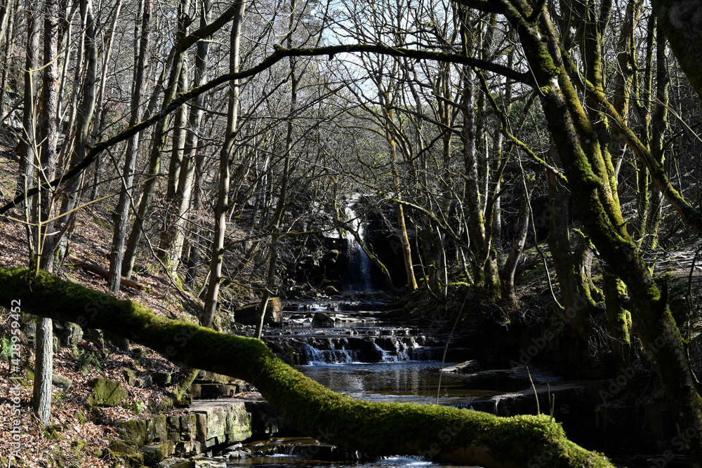 summerhill force along the stream summerhill force along the stream