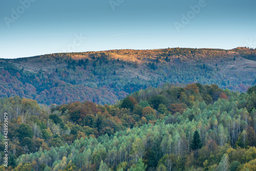 Sunrise over forest in late Autumn