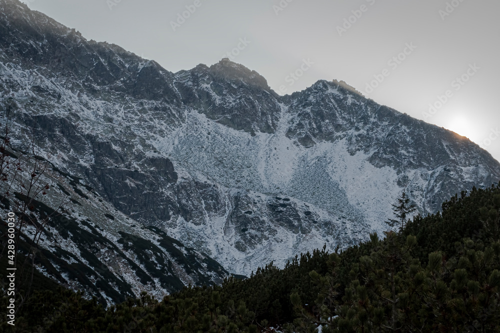 Dark sunset over the mountain ridge in Tatras, Poland. Small mountain pines in the shadow and bright snow on the slopes of the peaks. Selective focus on the rocks, blurred background.