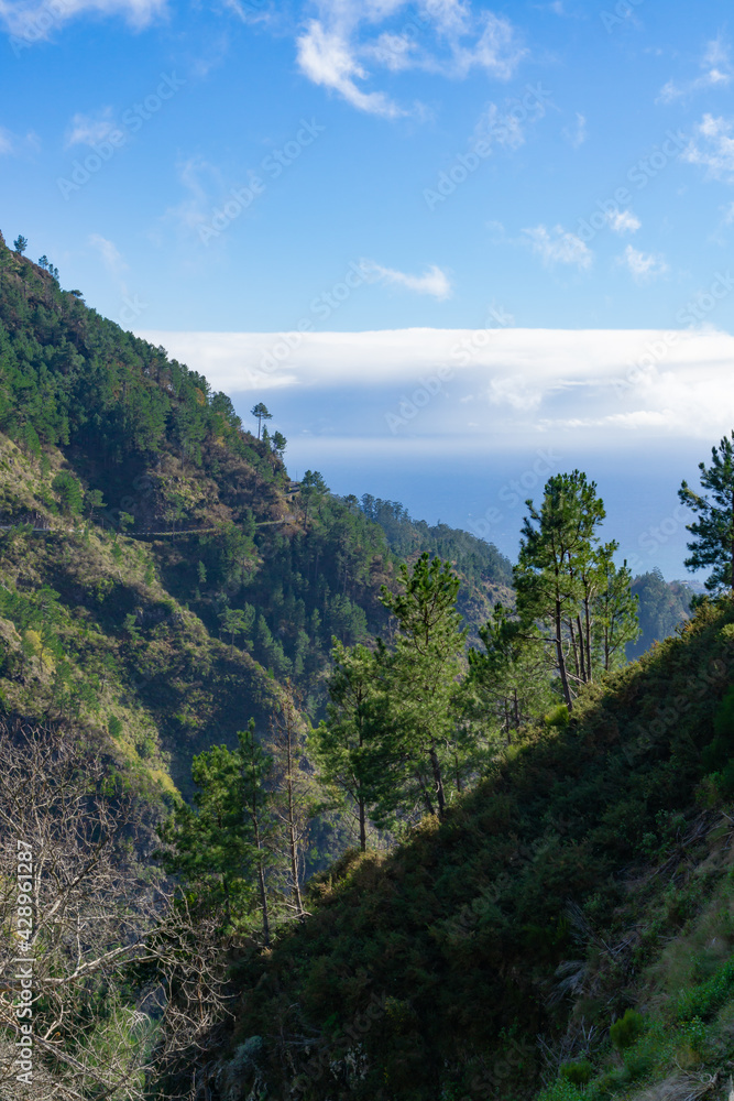 Beautiful landscape in the high mountains of Madeira, Portugal