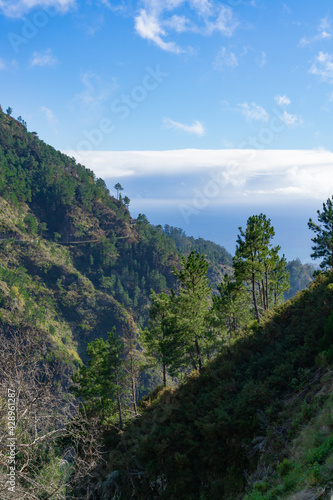 Beautiful landscape in the high mountains of Madeira  Portugal