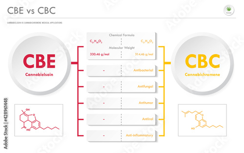 CBE vs CBG, Cannabielsoin vs Cannabigerol horizontal business infographic illustration about cannabis as herbal alternative medicine and chemical therapy, healthcare medical vector.