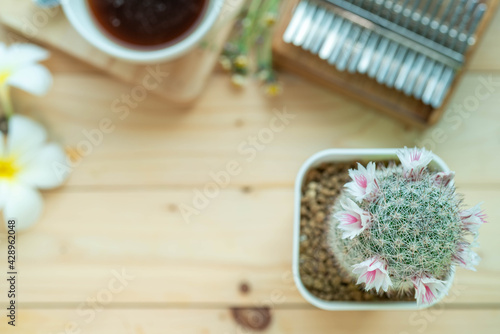 Background concept, Coffee mugs, Kalimba Cactus and small flowers on the wooden floor, start your work day refreshed.