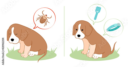 Vector illustration puppy dog feels bad from a tick bite. Tick season, dog grooming. Dog feels good after ampoule with vaccine and special collar