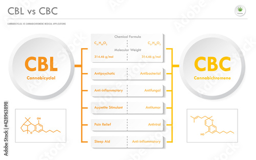 CBL vs CBC, Cannabicyclol vs Cannabichromene horizontal business infographic illustration about cannabis as herbal alternative medicine and chemical therapy, healthcare medical vector.
