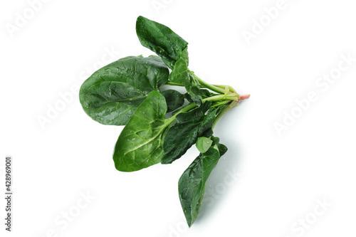 Raw fresh spinach isolated on white background