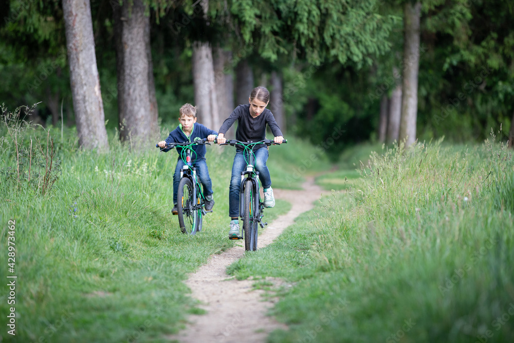 Naklejka premium Girl and her younger brother ride bicycles in park