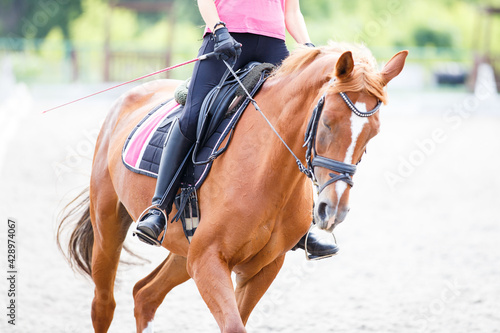 Young girl riding horse on equestrian training
